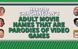 Adult Movie Names That Are Parodies of Video Games